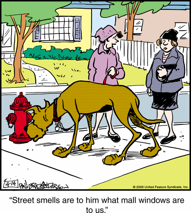 marmaduke